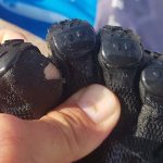 Réparation FiveFingers