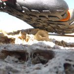 Chaussures minimalistes pour le trail