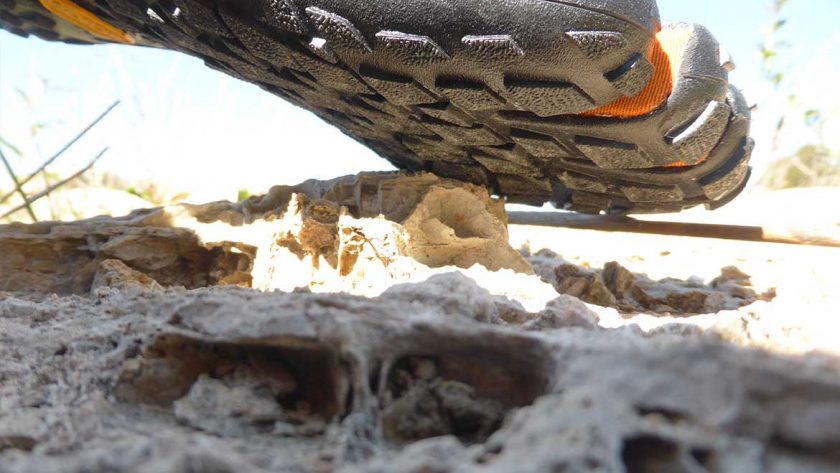 Chaussures minimalistes pour le trail