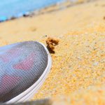 choisir chaussures running